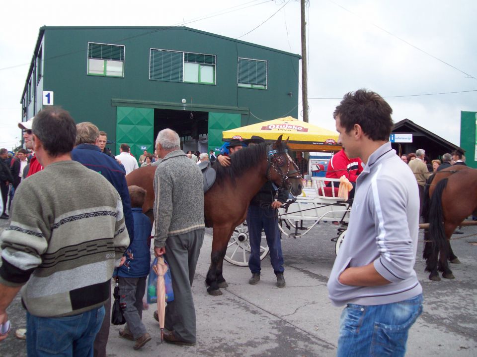 Jesen gudovac 2010 - foto povečava