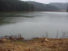 Gradiško jezero - foto povečava