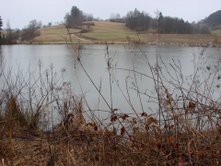 Gradiško jezero - foto