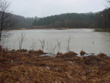 Gradiško jezero - foto povečava