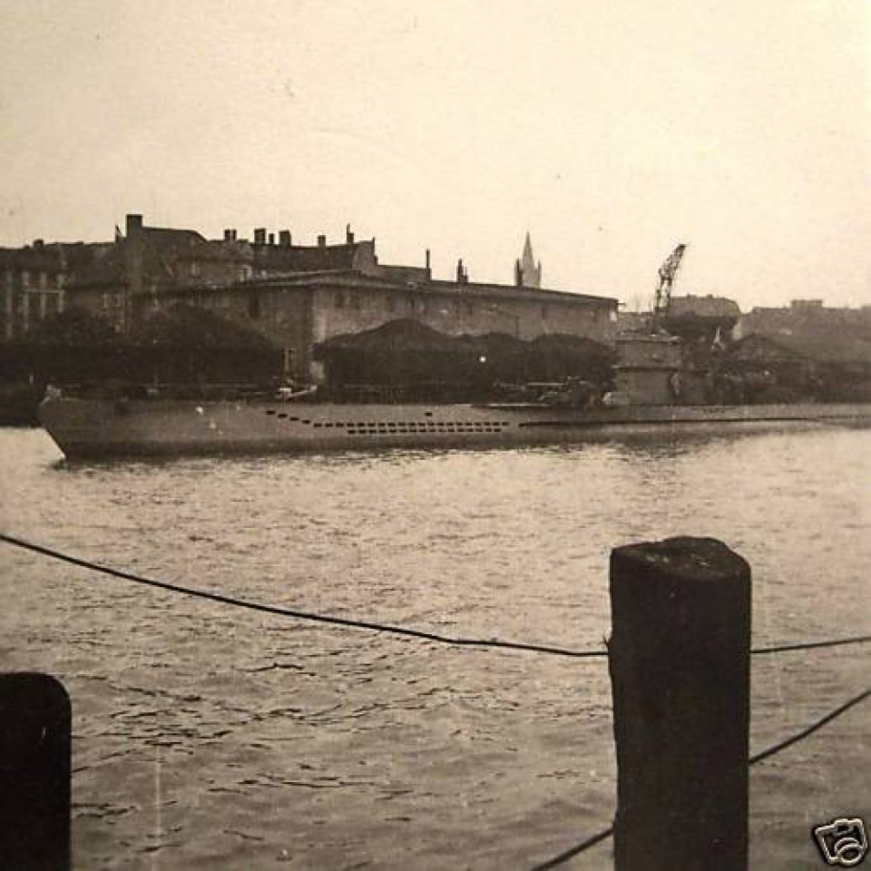 Kolekcija - foto povečava