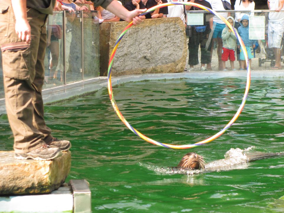 ZOO Ljubljana - foto povečava