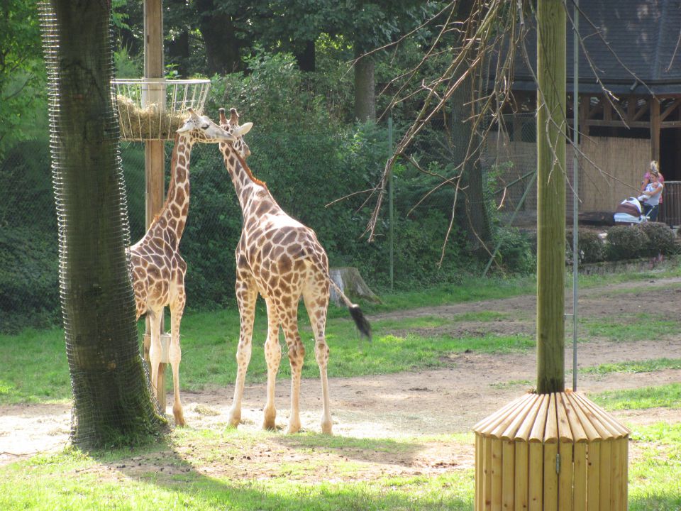 ZOO Ljubljana - foto povečava