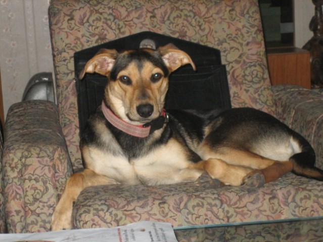 ZIGGY - foto