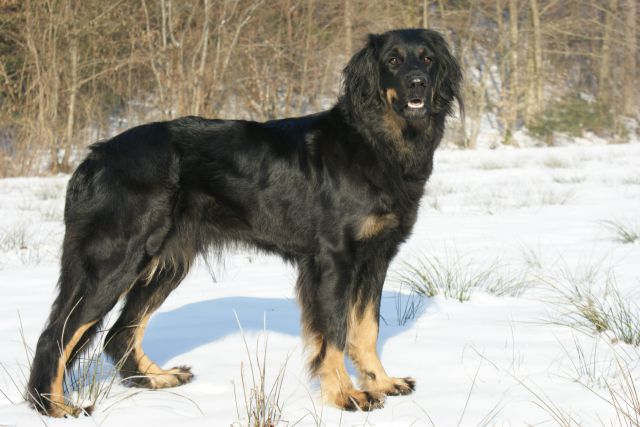 ...pa saj že veste: Najlepša danes tule - sem jaz!