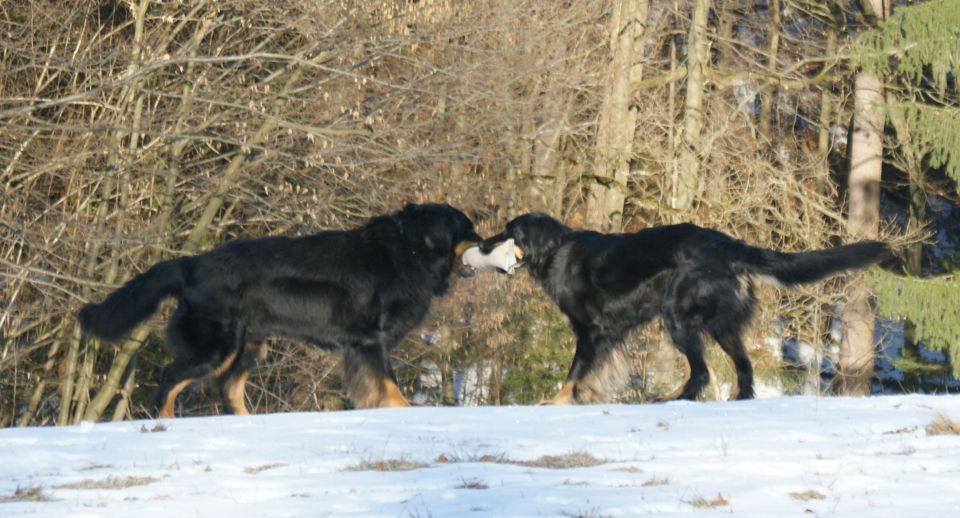 Igre brez meja - 2.del - foto povečava