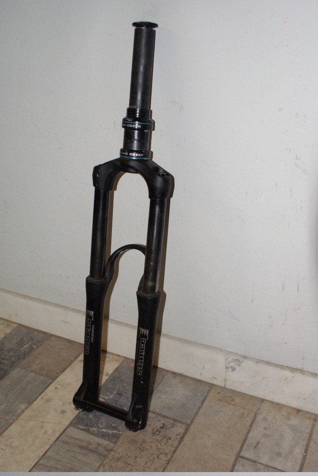 Vile - foto povečava