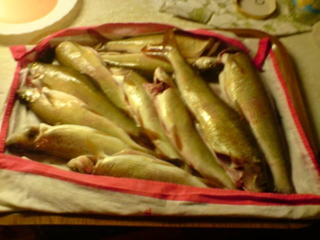 Raznorazno - foto povečava