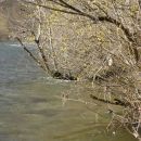 ribolov 2-04-2006