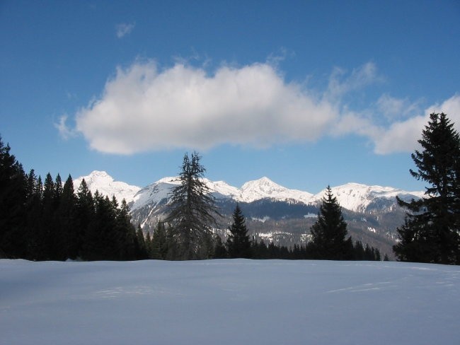 Velika planina - foto povečava