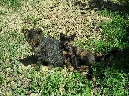 MUCKI - foto povečava