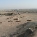 Pogled na Yazd in zoroastrsko pokopališče s stolpa tišine.