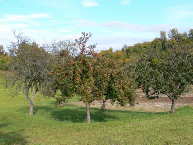 Podeželje - foto