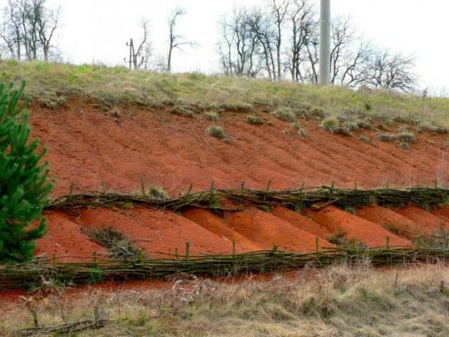 Rdeča prst pri Slovenski vasi in preprečevanje erozije
