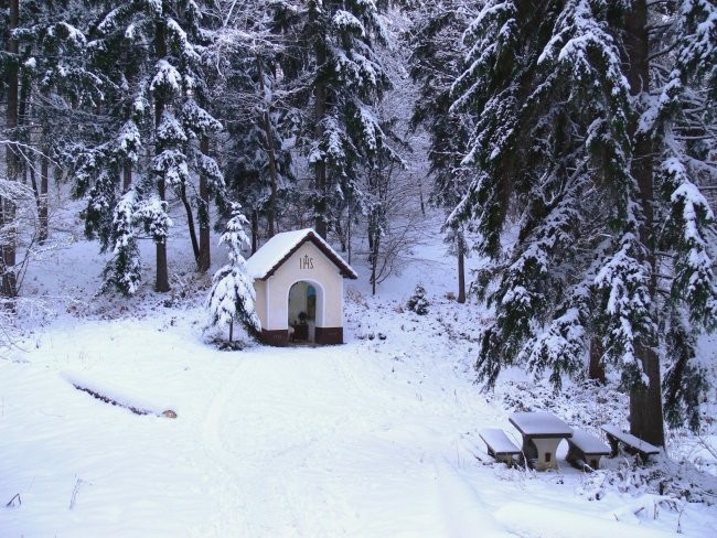 Gora Oljka - foto povečava