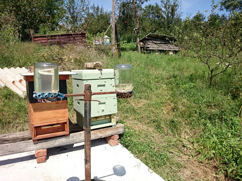 Pčelarenje - foto povečava
