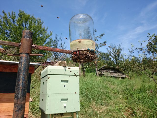 Pčelarenje - foto