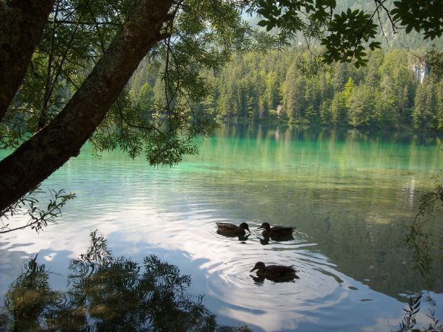 Belopeška jezera ali jezera pod Mangrtom - foto