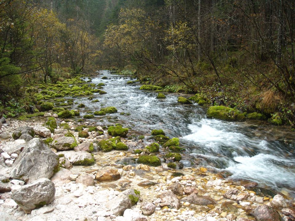 Kamniška Bistrica - foto povečava