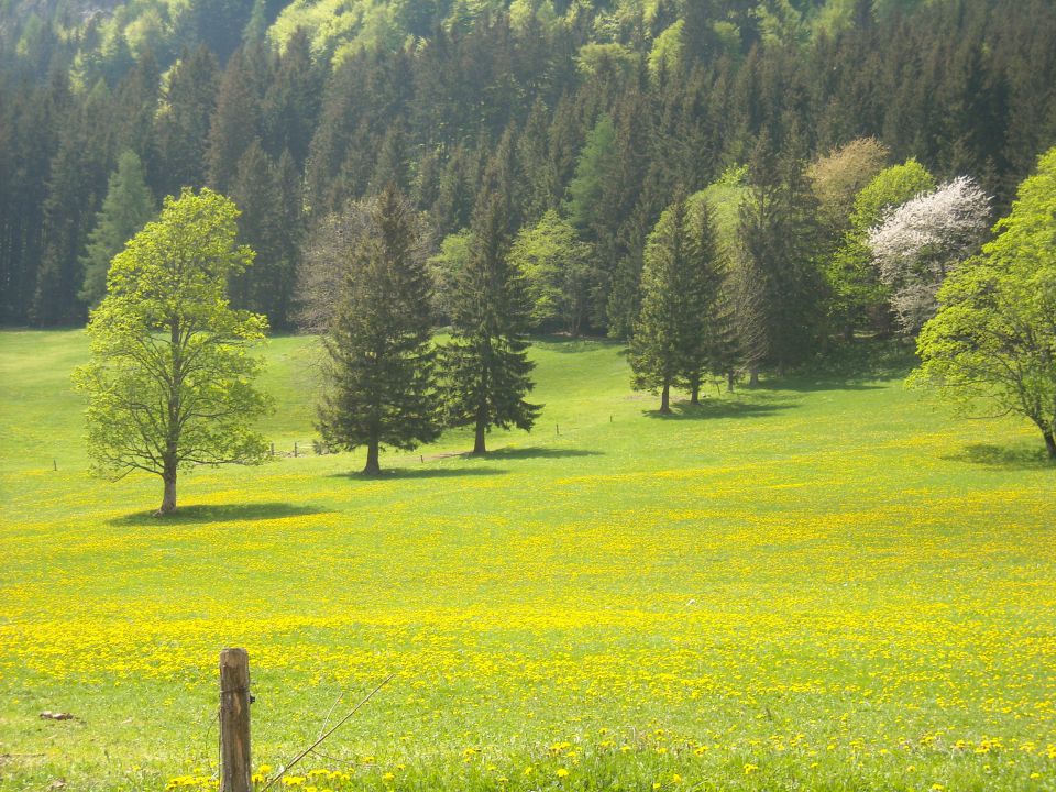 Jezersko - foto povečava