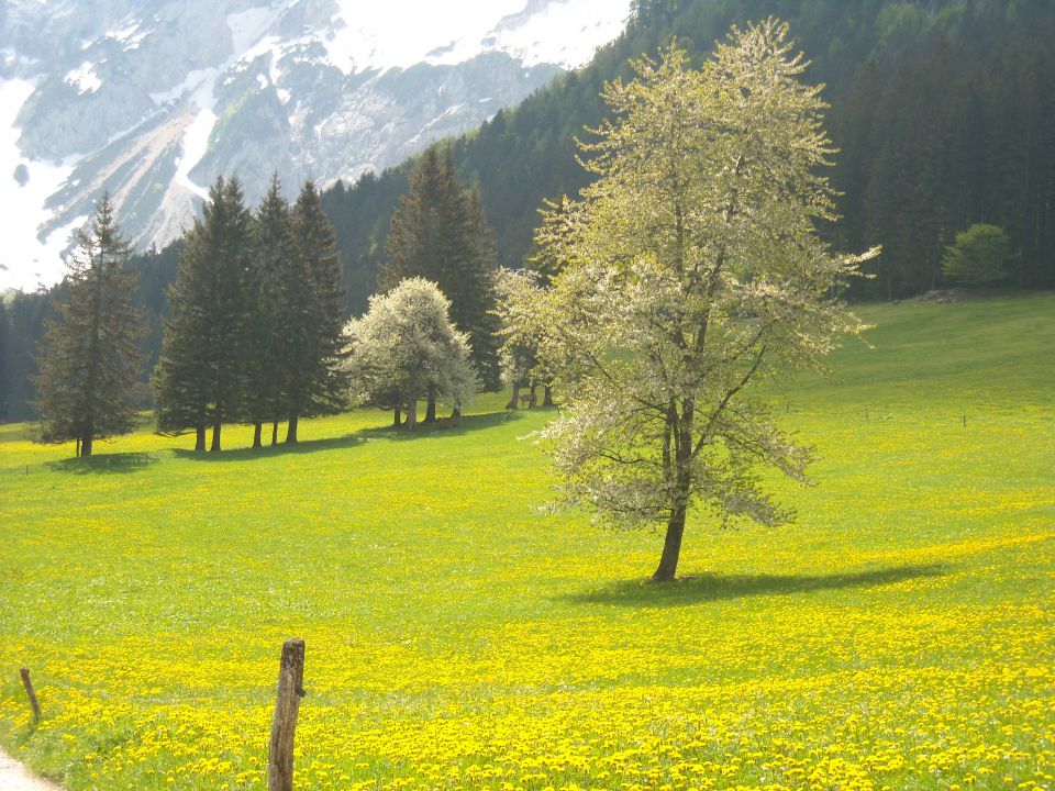 Jezersko - foto povečava