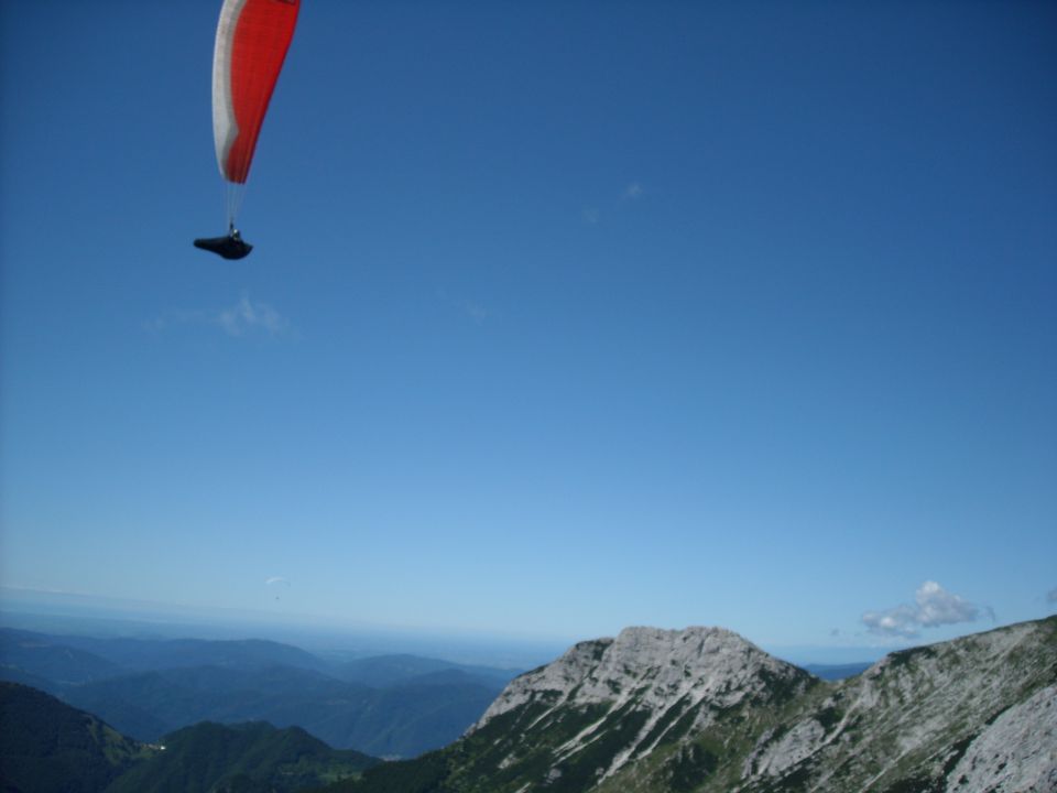 Vogel - foto povečava