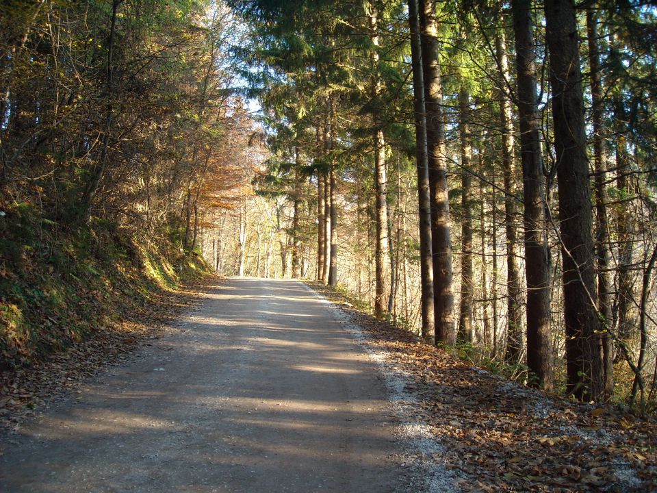 Pot na Primoža