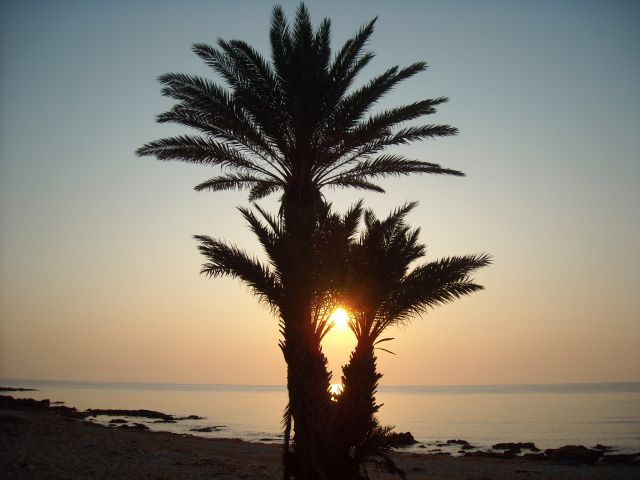 Sončni vzhod na Djerbi - foto