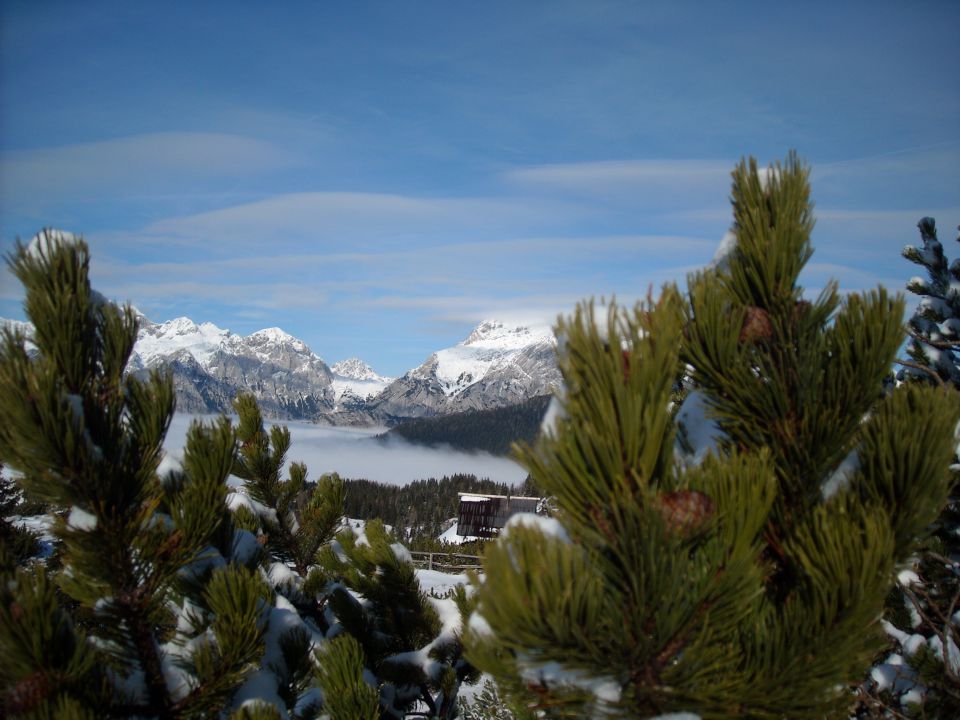 Zimaka pravljica na Veliki planini - foto povečava