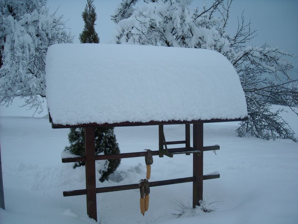 Zimska Idila - foto povečava