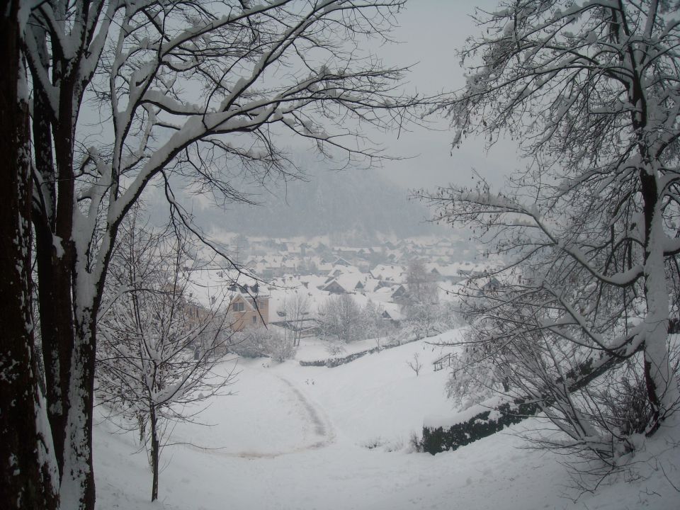 Zimska Idila - foto povečava