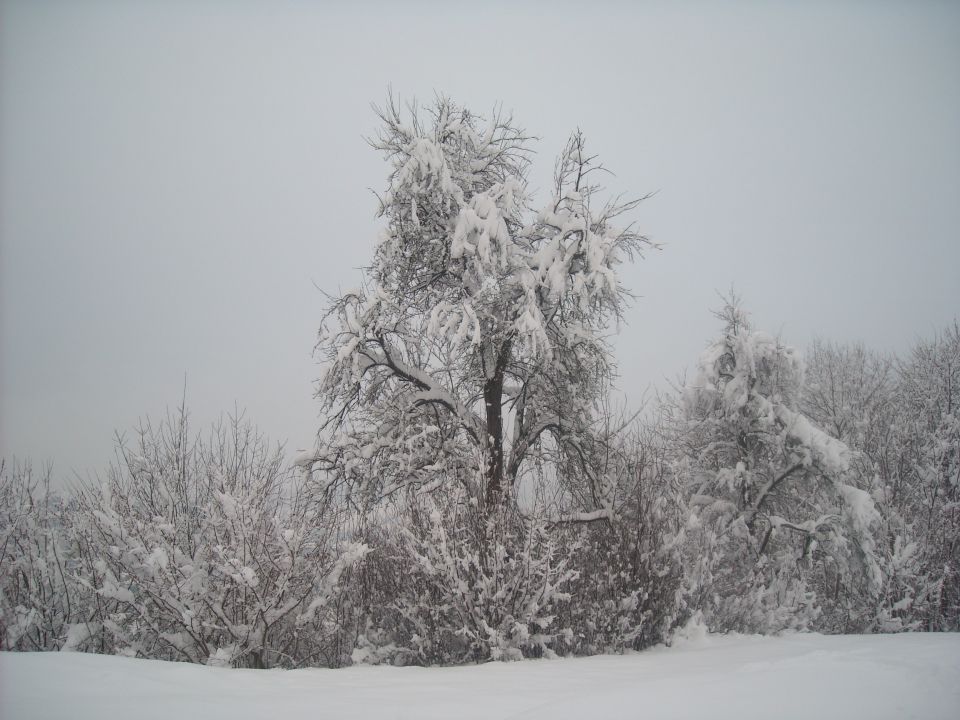 Zimska Idila - foto povečava