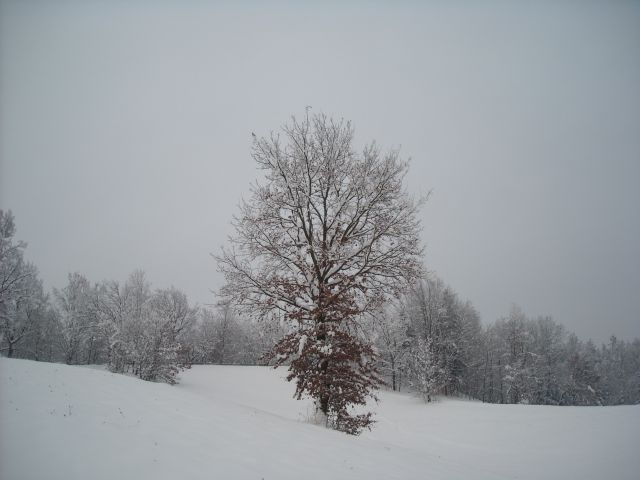 Zimska Idila - foto