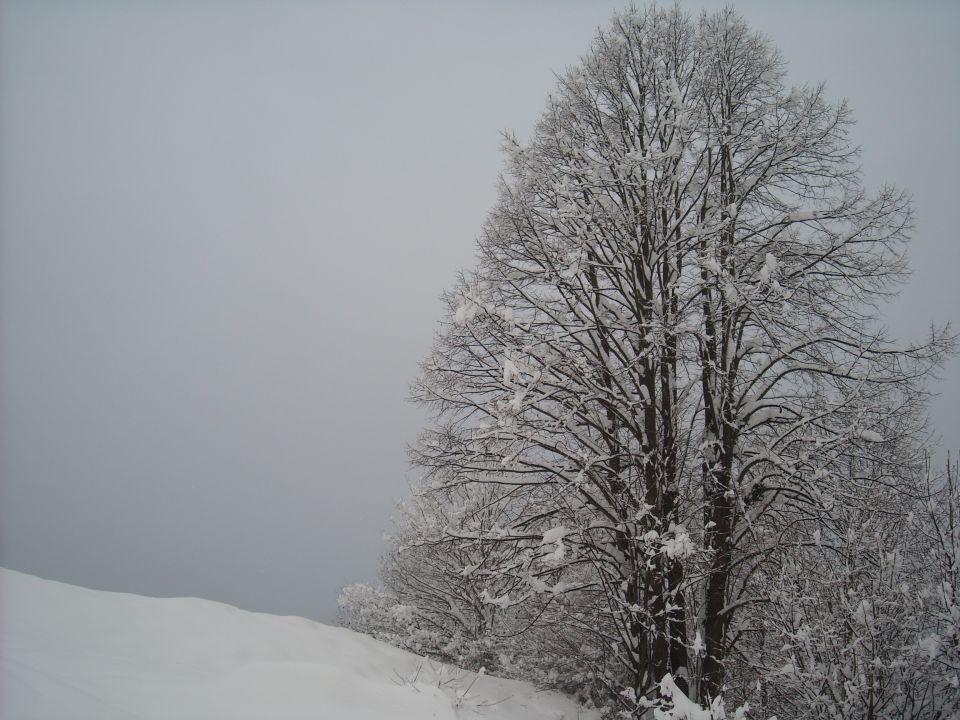 Zimska Idila - foto povečava