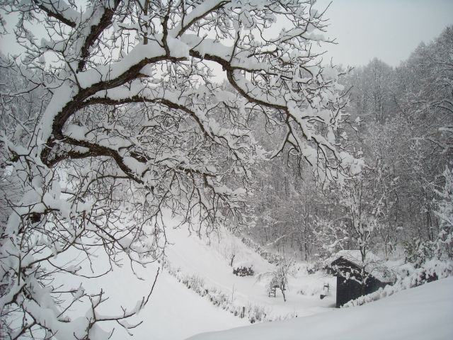 Zimska Idila - foto