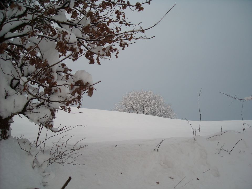 Zimska Idila - foto povečava