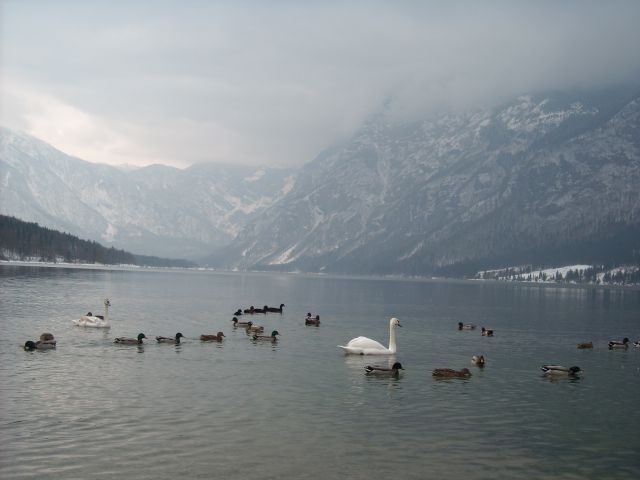 Bohinj - foto