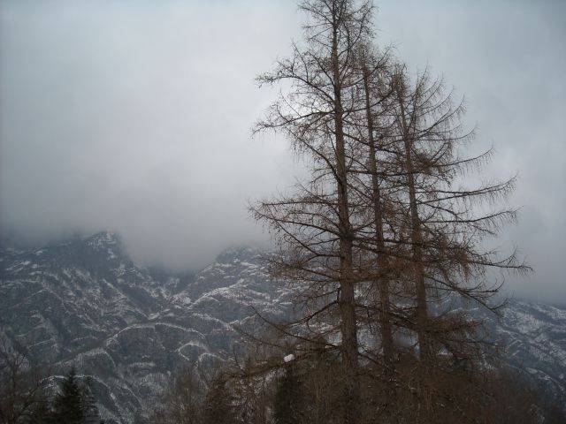 Bohinj - foto