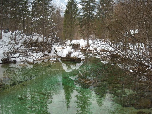 Bohinj - foto