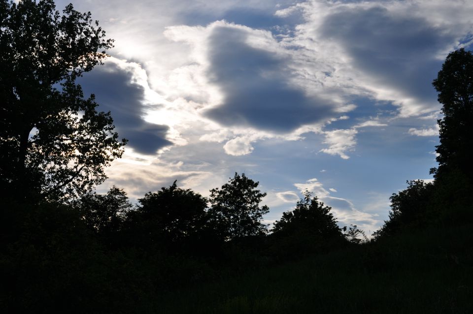 Sprehod - foto povečava