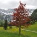 Jezersko in češka koča