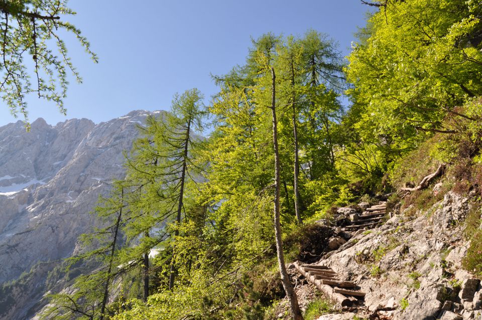 Jezersko in češka koča - foto povečava