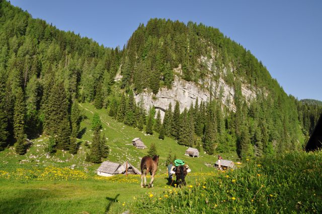 Planina pri jezeru - foto