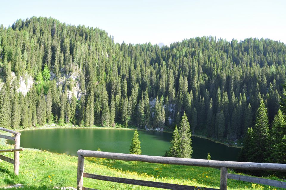 Planina pri jezeru - foto povečava