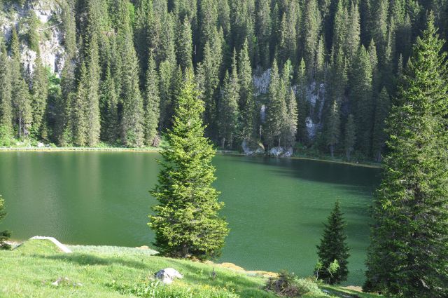 Planina pri jezeru - foto