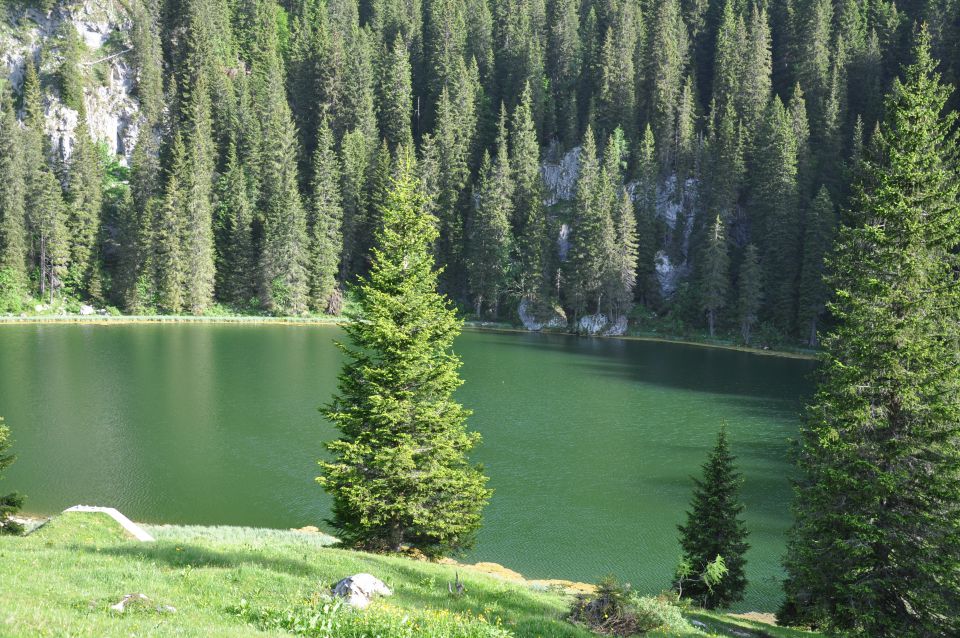 Planina pri jezeru - foto povečava