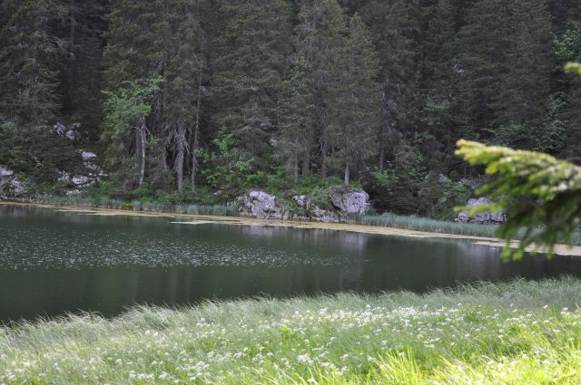 Planina pri jezeru - foto