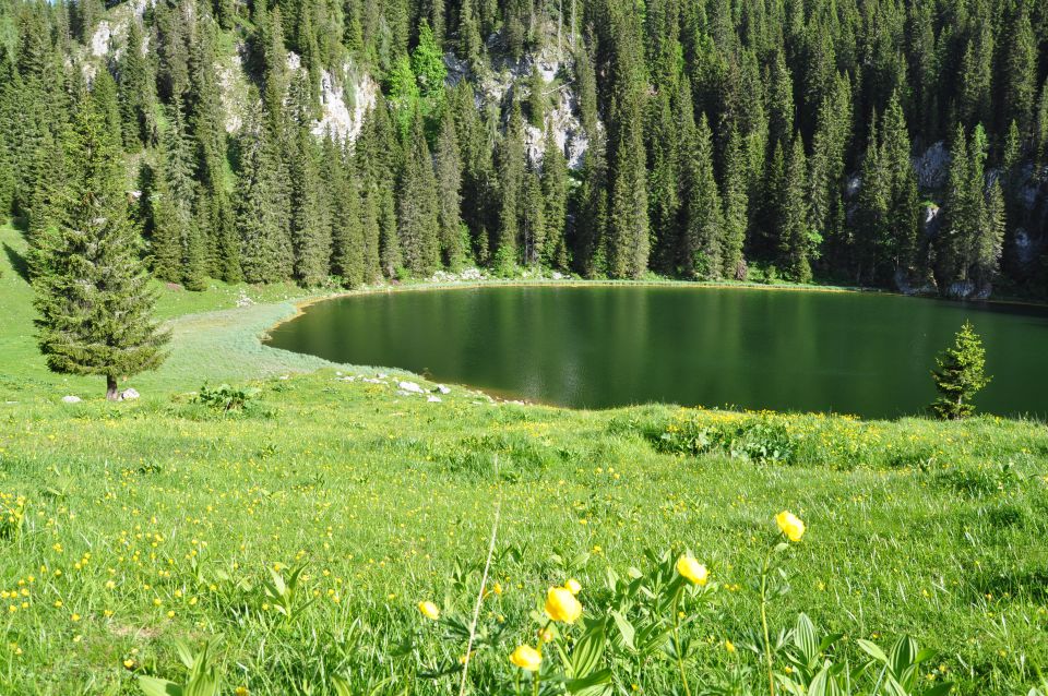 Planina pri jezeru - foto povečava