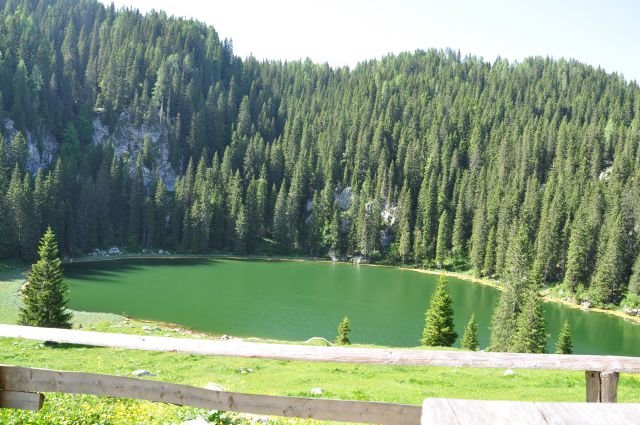 Planina pri jezeru - foto