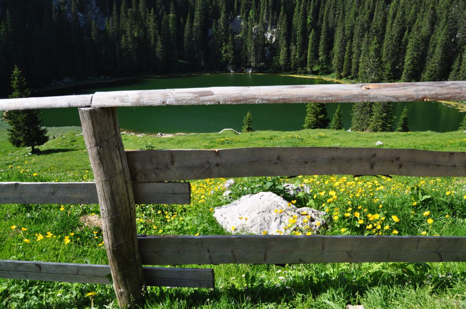 Planina pri jezeru - foto povečava